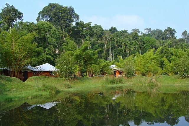 holiday home, resort, greenery, pond, reflection, kadkani, kodagu, coorg, karnataka, india, green home, coorg, coorg, coorg, coorg, coorg