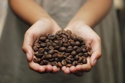coffee, coffee beans, aroma, roasted, beans, espresso, cappuccino, mug, caffeine, coffee on hand, holding coffee beans, hand-holding, kopi, javanese, coffee background, coffee texture, background, coffee farm, indonesia, beautiful wallpaper, love shape, coffee cup, love coffee, girl holding, girl holding coffee bean, coffee seed, indonesian coffee, iphone wallpaper