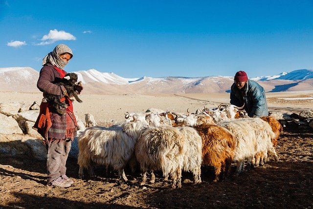 mountain, himalayan, people, outdoors, hill, nature, wildlife, animal, himalayan, people, people, people, people, people