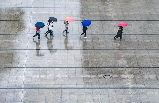 rain, people, umbrellas, wet, weather, nature, thunderstorm