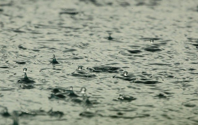 water, raindrops, raining, wet, liquid, nature, splashing, drops, rain, rainfall, water droplets, aqua