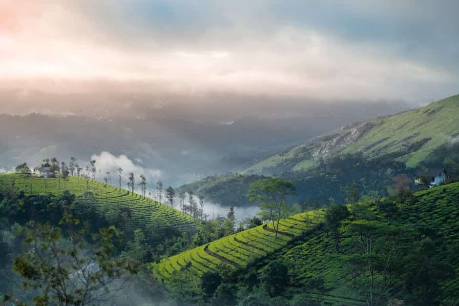 Places to Travel in July in India