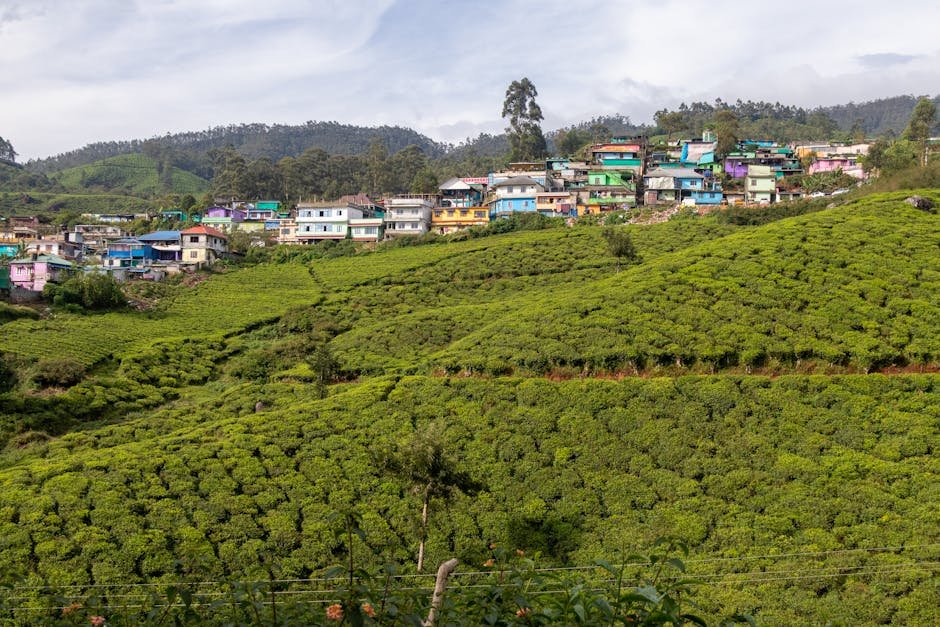 Vibrant houses line the lush green tea plantation hills in Munnar, India under a cloudy sky.